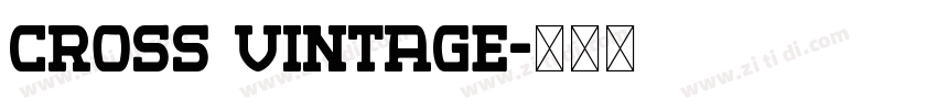 Cross Vintage字体转换